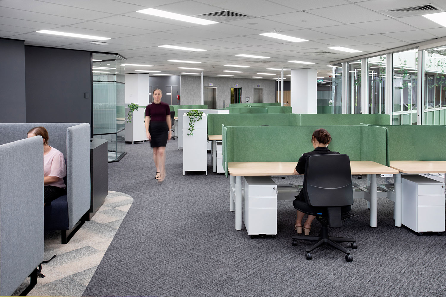 people working in an office with desks